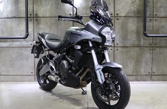 2010 Kawasaki KLE 650 Versys