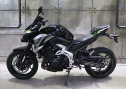 2019 Kawasaki Z900