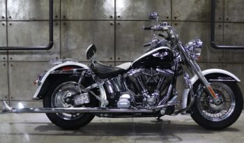 WhatsApp Image 2026-02-25 at 13.14.41