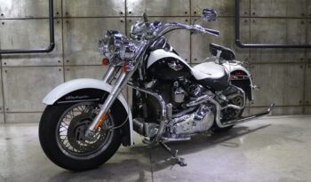 WhatsApp Image 2026-02-25 at 13.14.42