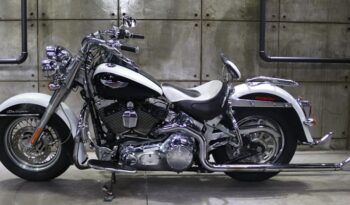 WhatsApp Image 2026-02-25 at 13.14.421