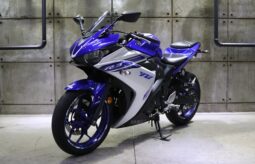 2019 Yamaha R3