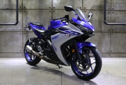 2019 Yamaha R3