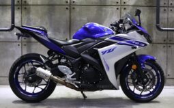 2019 Yamaha R3