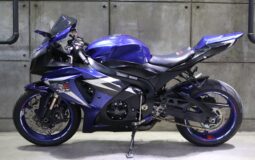 2011 Suzuki GSXR1000